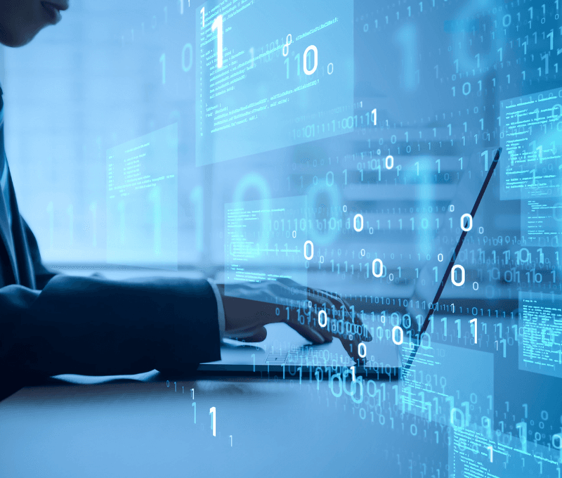 A Deep Dive into the Digital Bastion